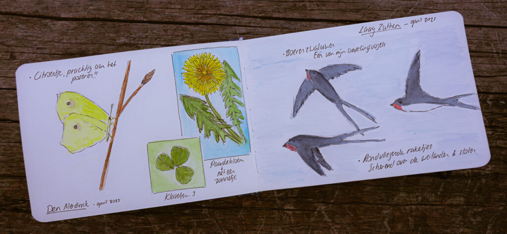 20250505_2763_natuurlijk_creatief